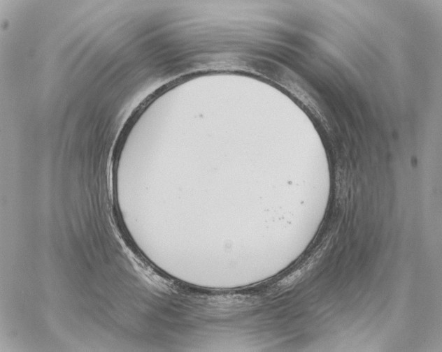 X0000059040988200511041632