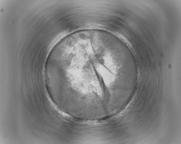 X0000059040990200511041632