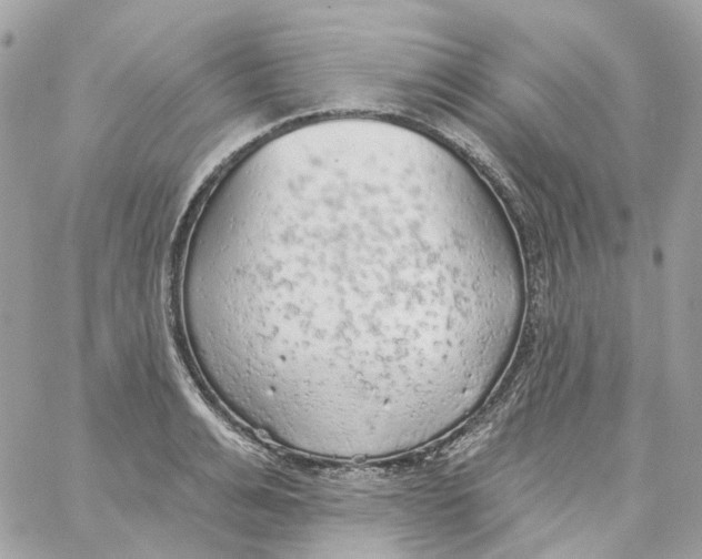 X0000059040991200511041632