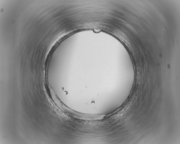 X0000059040992200511041632