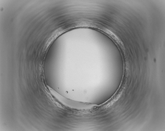 X0000059040993200511041632