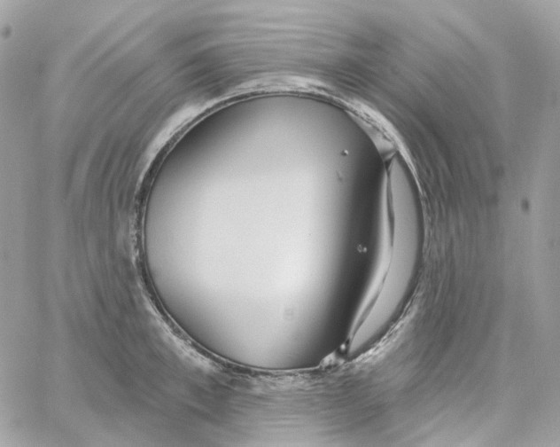 X0000059040997200511041632