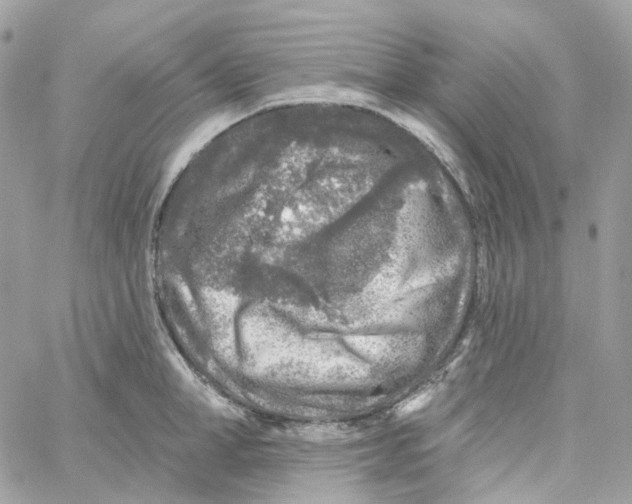 X0000059040998200511041632