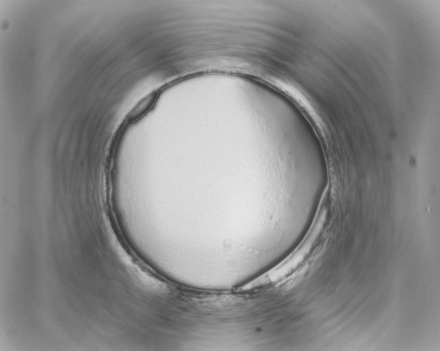 X0000059040999200511041632