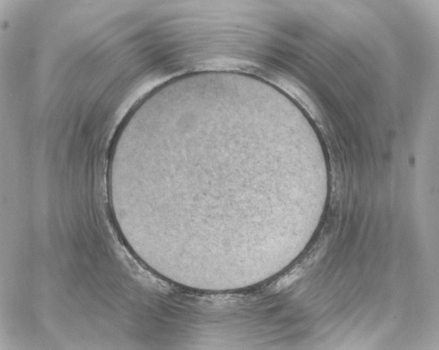 X0000059041000200511041632