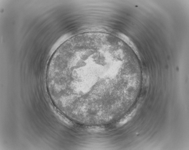 X0000059041002200511041632