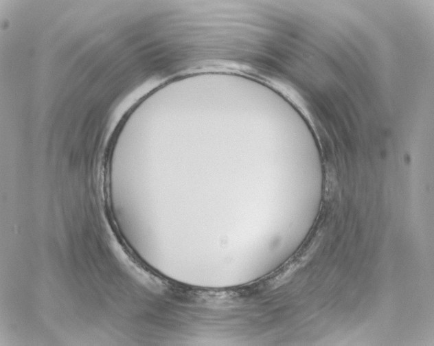 X0000059041003200511041632