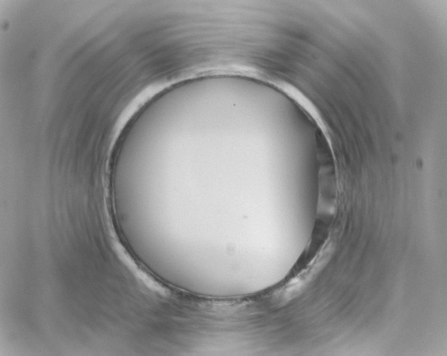 X0000059041005200511041632