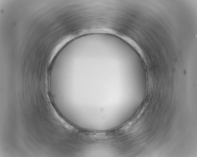 X0000059041006200511041632