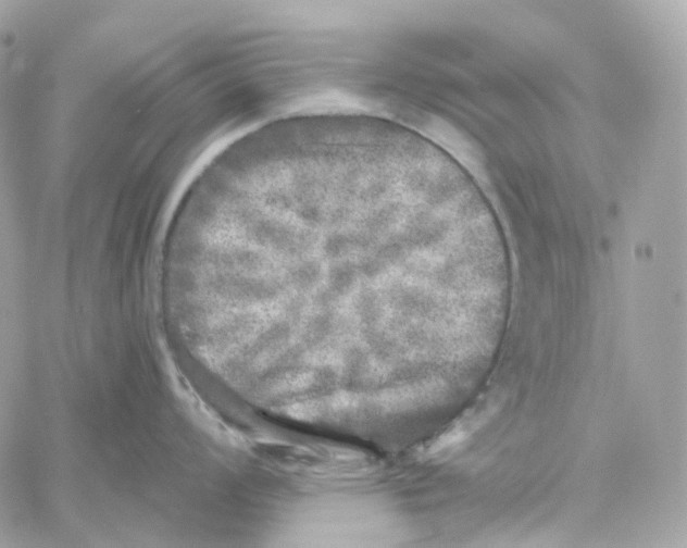 X0000059041008200511041631