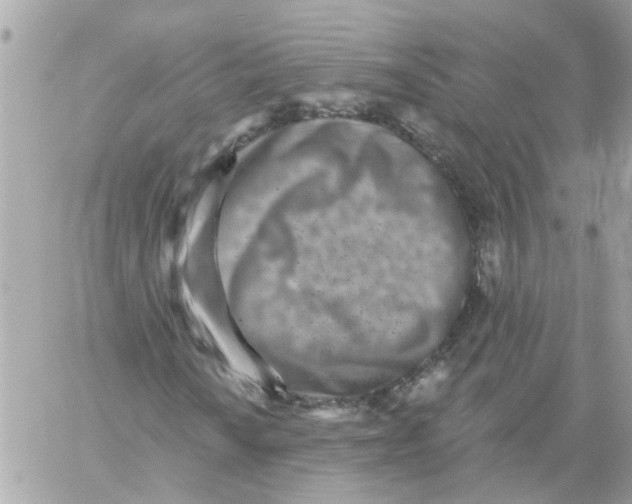 X0000059041010200511041631