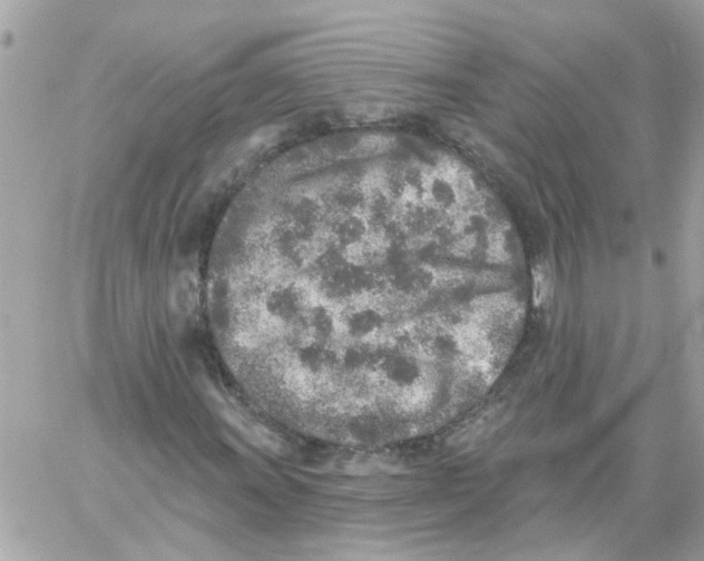 X0000059041011200511041631