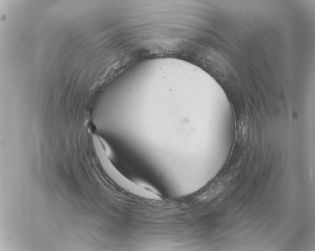 X0000059041012200511041631