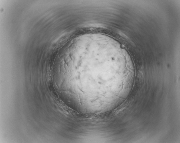 X0000059041014200511041631