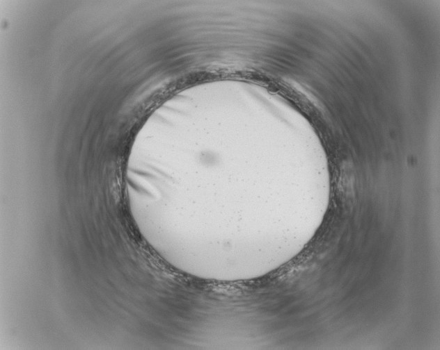 X0000059041015200511041631