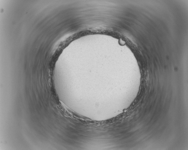 X0000059041016200511041631