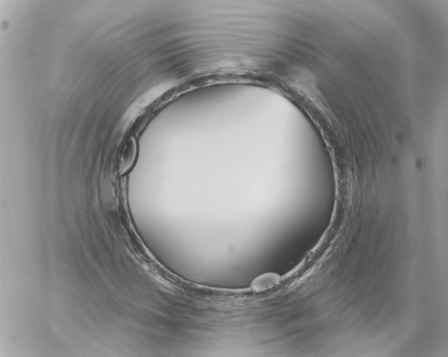 X0000059041018200511041631