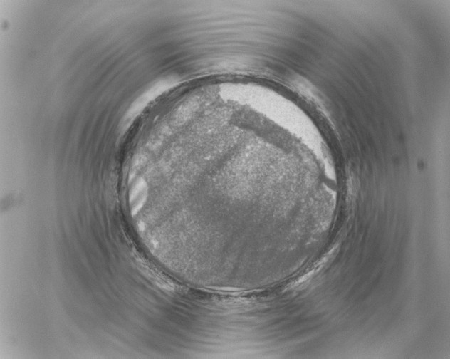 X0000059041019200511041631