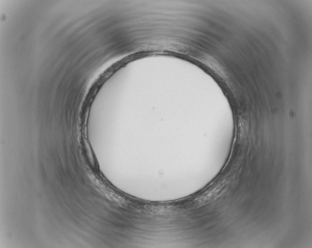 X0000059041020200511041631