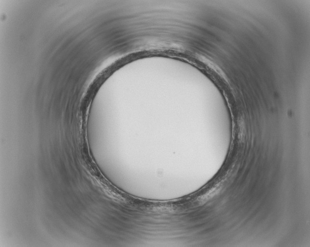 X0000059041021200511041631