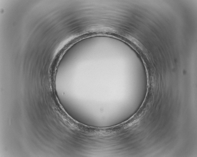 X0000059041022200511041631