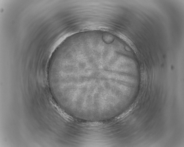 X0000059041023200511041631