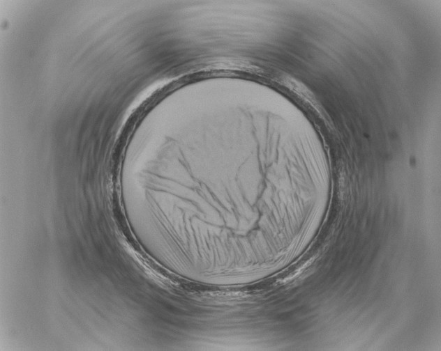 X0000059041024200511041631