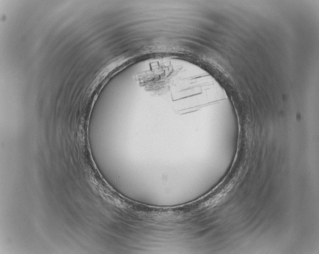 X0000059041025200511041631