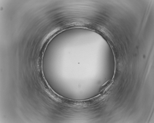 X0000059041026200511041631