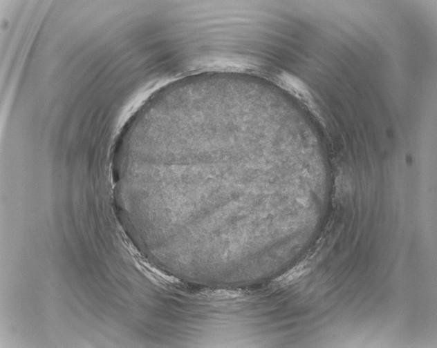 X0000059041027200511041631