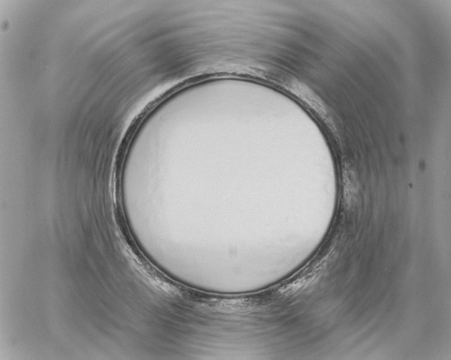 X0000059041028200511041631