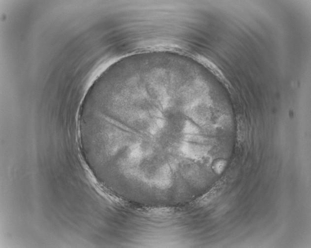 X0000059041031200511041631