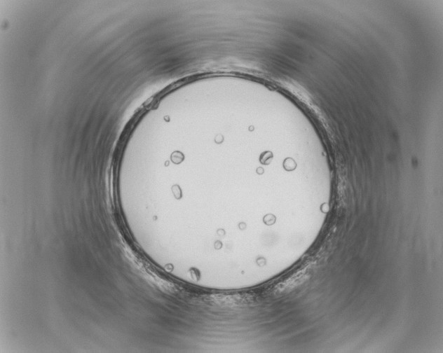 X0000059041032200511041631