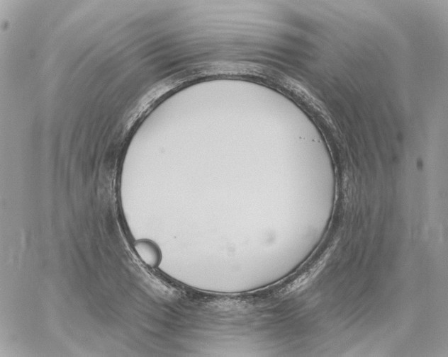 X0000059041033200511041631