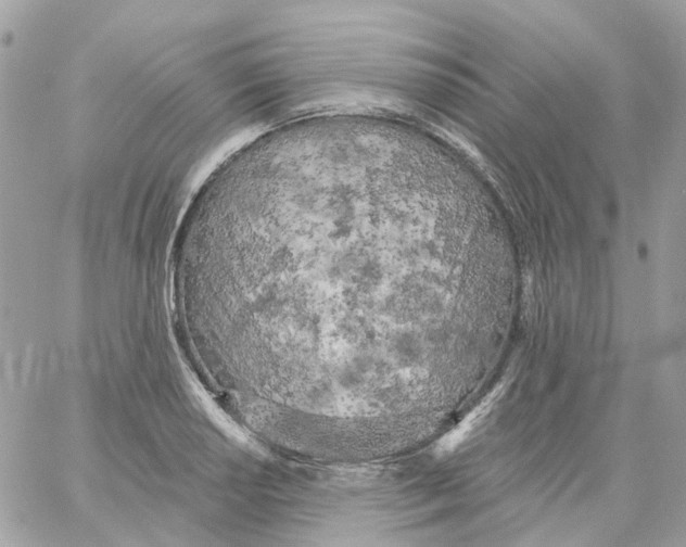 X0000059041034200511041631