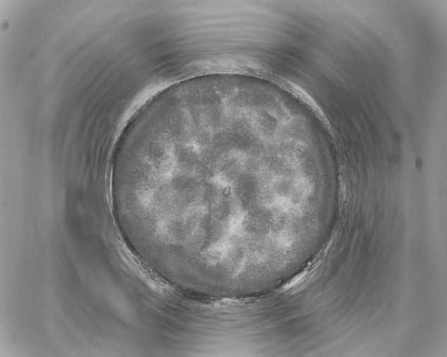 X0000059041035200511041631