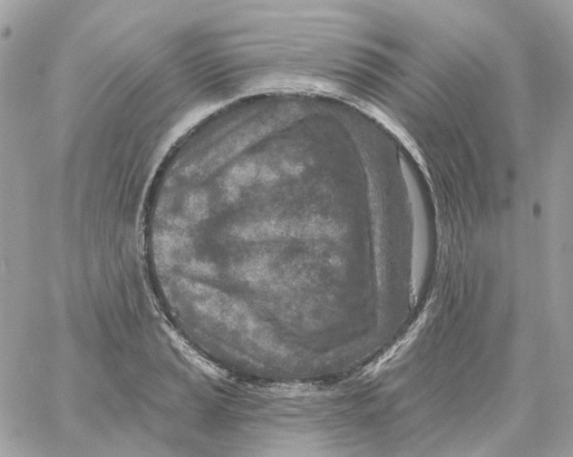 X0000059041037200511041631