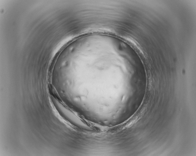 X0000059041038200511041631