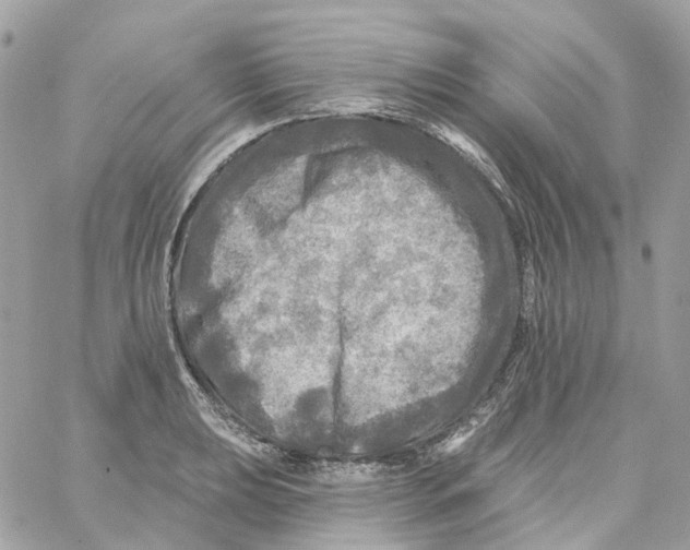 X0000059041039200511041631