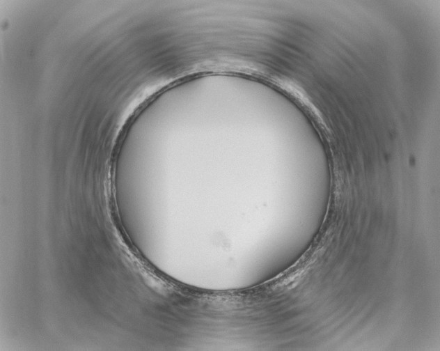 X0000059041040200511041631