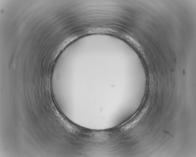 X0000059041041200511041631