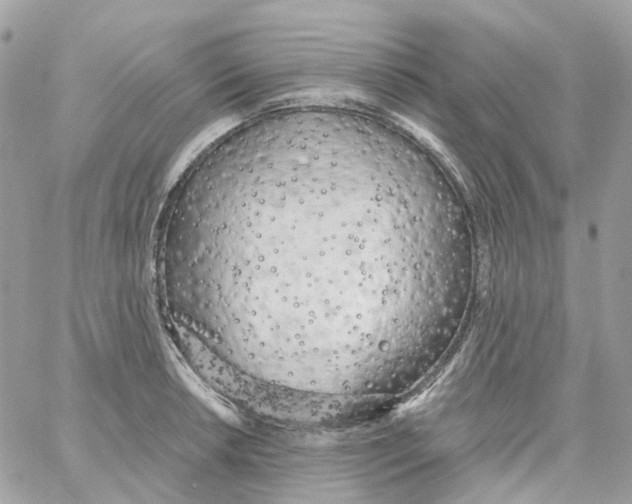 X0000059041042200511041631