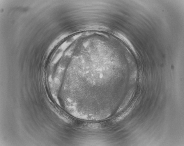 X0000059041043200511041631