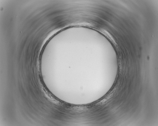 X0000059041044200511041631