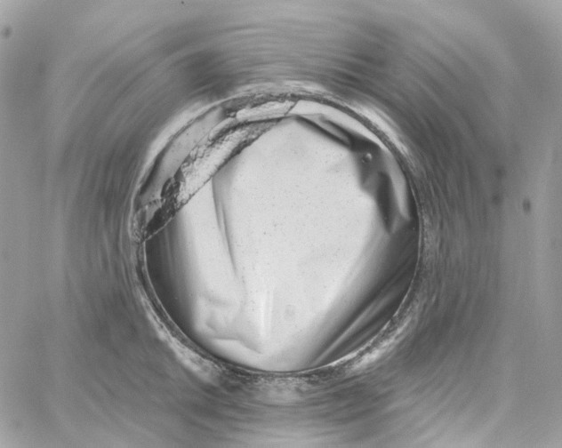 X0000059041046200511041631