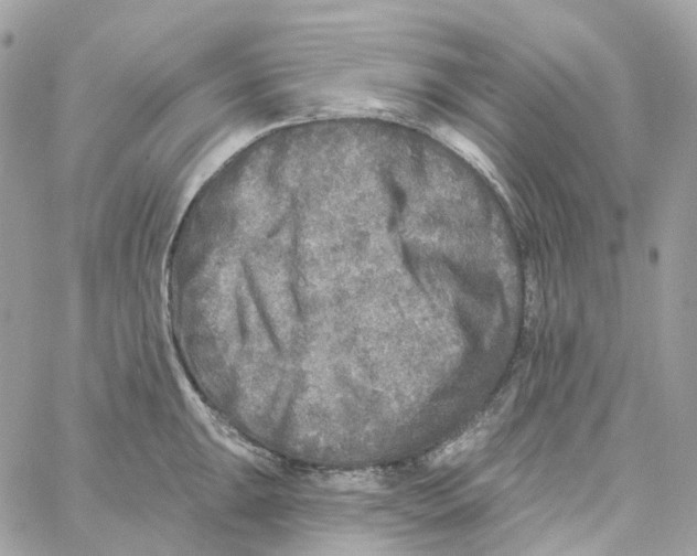 X0000059041047200511041631