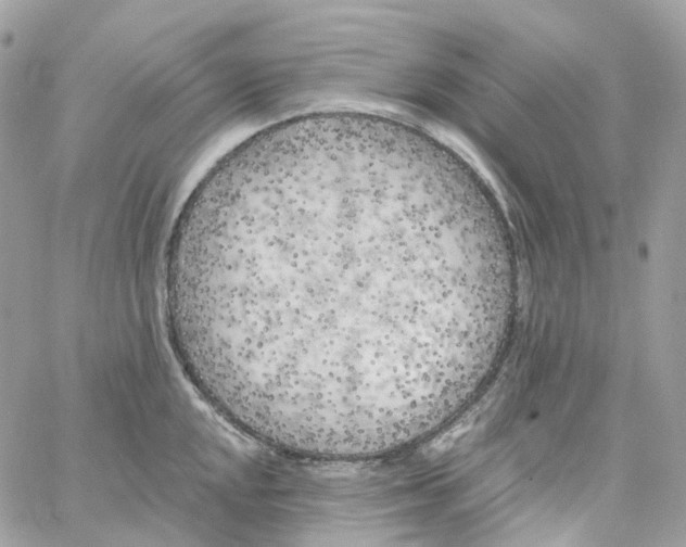 X0000059041048200511041631