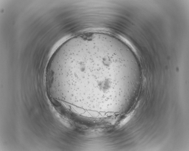 X0000059041050200511041631