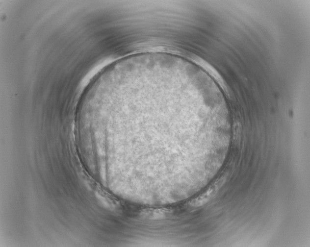 X0000059041051200511041631