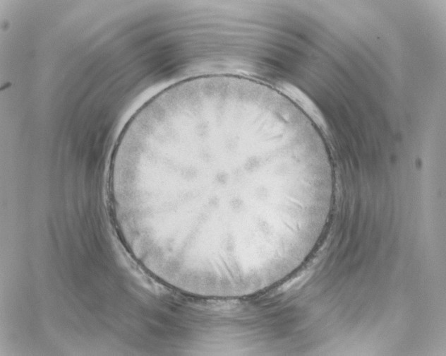 X0000059041052200511041631